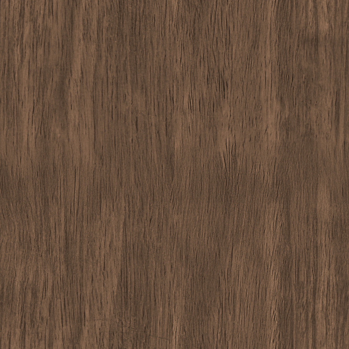 Silla Sauce — vista 12