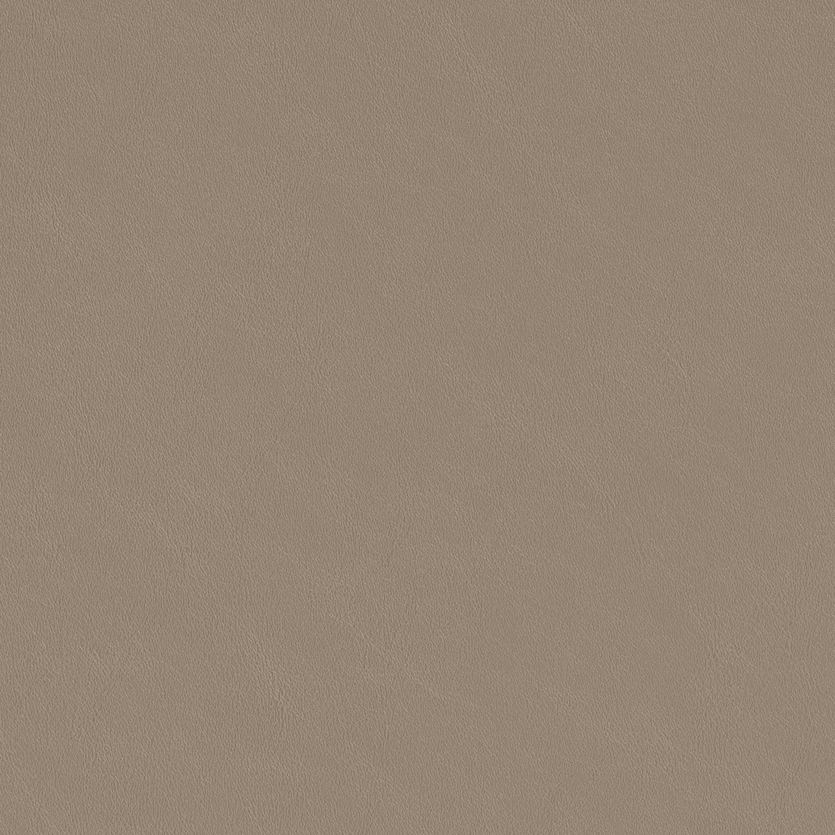 Silla Sauce — vista 11